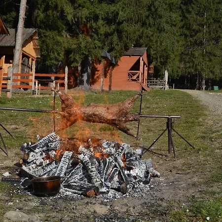 Lisova Kvitka Gasthof Verkhniy Yasenov