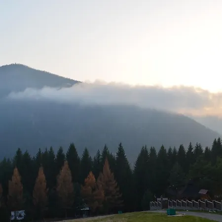 Lisova Kvitka * Verkhniy Yasenov